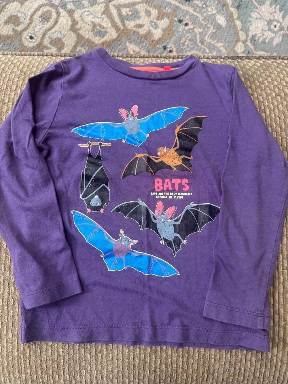 Mini Boden Purple Long-Sleeve Tee with Blue & Black Bat Graphics